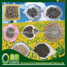 Comprar tipos de semillas de girasol Varias semillas de girasol